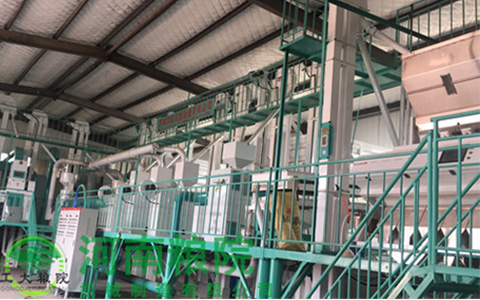 山西晉中80噸小米加工設備